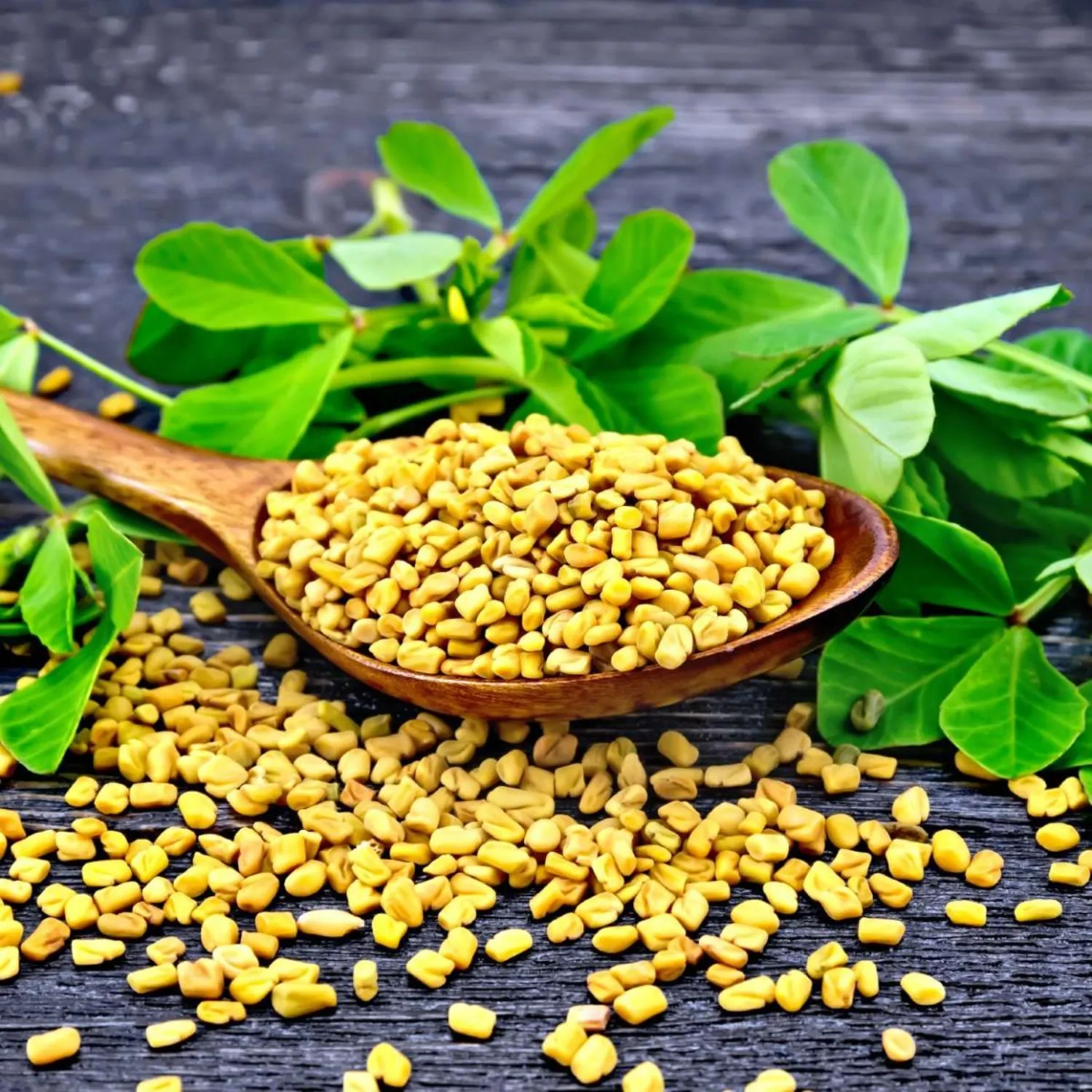 co ca ri fenugreek