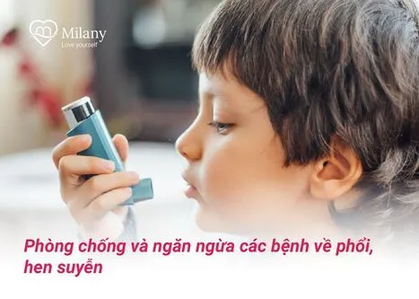 Cách ăn yến sào cho người bệnh phổi