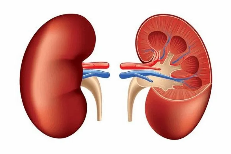 Quy trình điều trị phẫu thuật ung thư thận