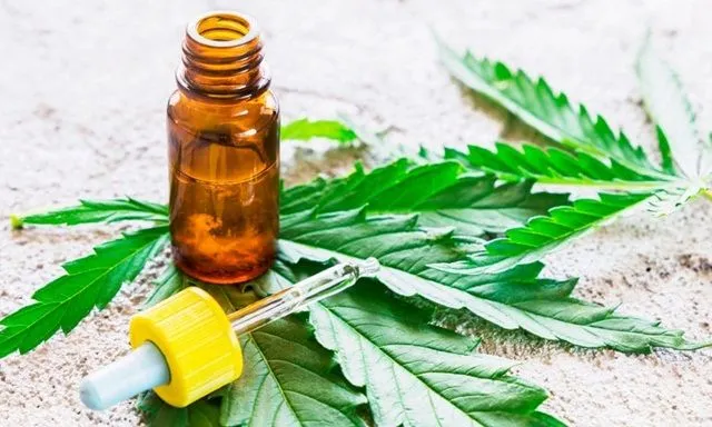 Cannabidiol (CBD) có tác dụng điều trị bàng quang tăng hoạt không?