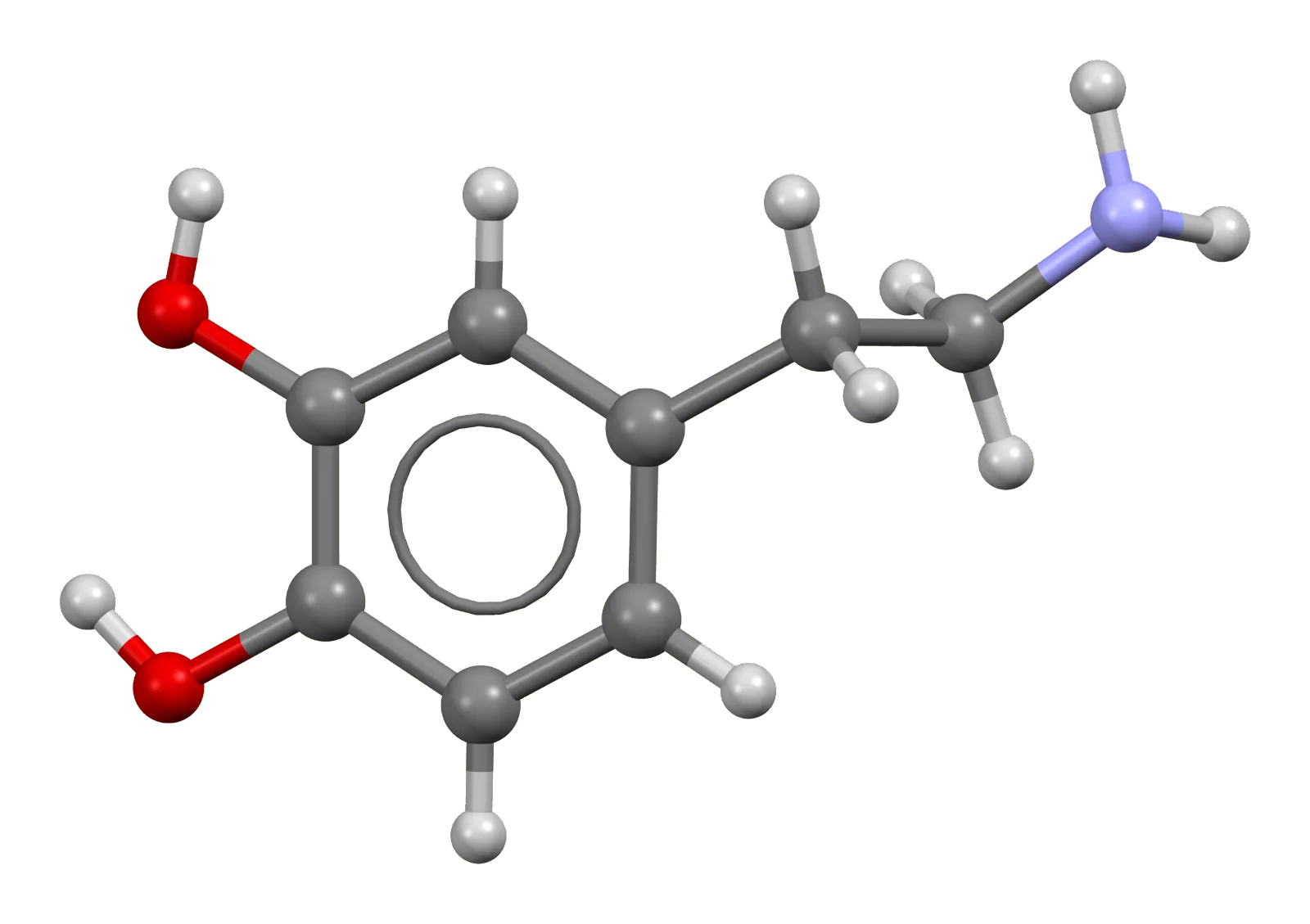 Dopamine Và Những Ảnh Hưởng Của Dopamine Tới Cơ Thể