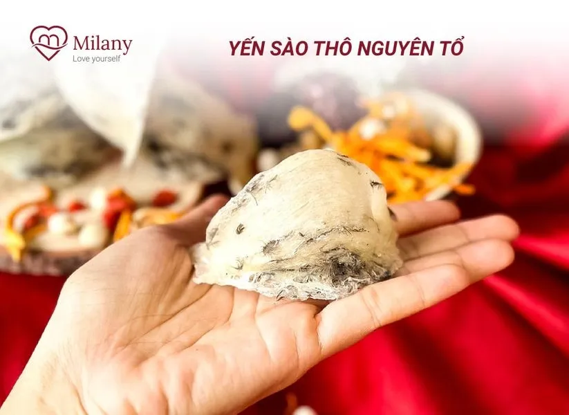 yến sào Milany