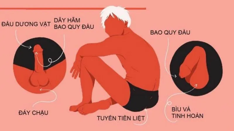 Vị trí nhạy cảm ở nam giới