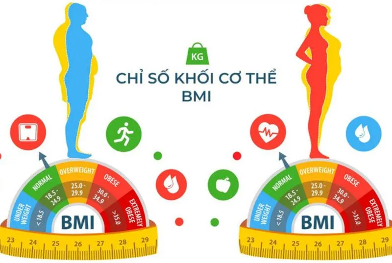 chi so bmi co the