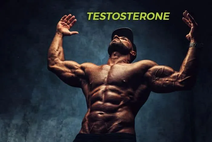 loi ich testoterone