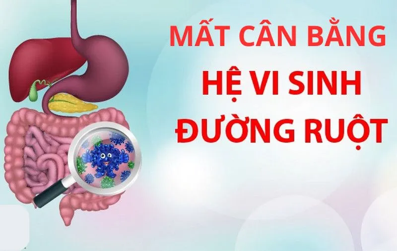 mat can bang he vi sinh duong ruot