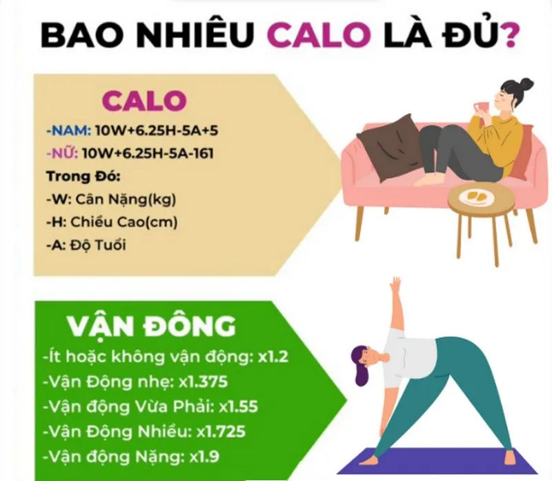 Lượng Calo cần nạp mỗi ngày