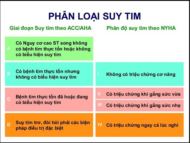 3 cách phân loại suy tim thường gặp và các mức độ suy tim