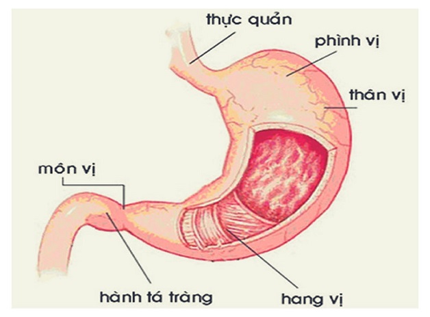 5 phương pháp điều trị viêm tá tràng hiệu quả