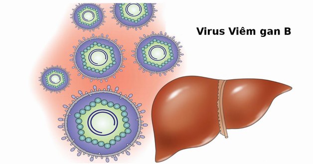 5 triệu chứng xơ gan giai đoạn đầu không thể bỏ qua