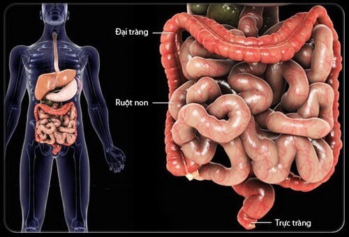 Ai cần siêu âm đại tràng?