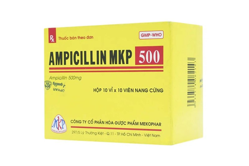 Ampicillin MKP 500 là gì? Công dụng, liều dùng, lưu ý khi sử dụng