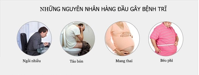 Bài thuốc chữa bệnh trĩ bằng hạt gấc đơn giản