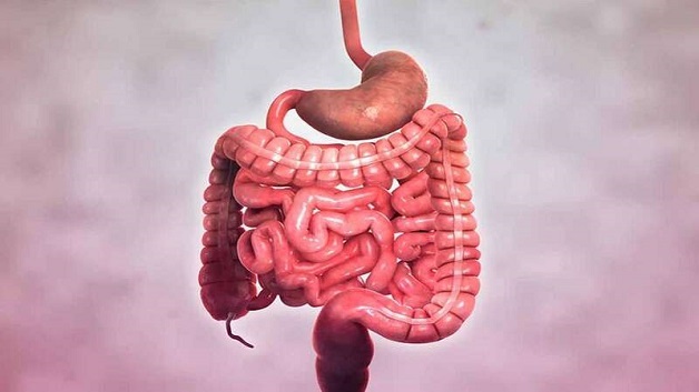 Bệnh crohn là gì? Những kiến thức cần cần biết