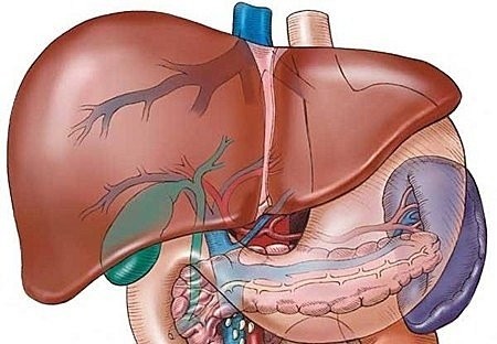 Bệnh gan nhiễm mỡ có nguy hiểm không?