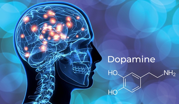 Bệnh Parkinson: Nguyên nhân, triệu chứng, điều trị