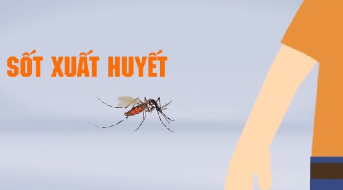 Bệnh sốt xuất huyết có lây không? Có nguy hiểm không?