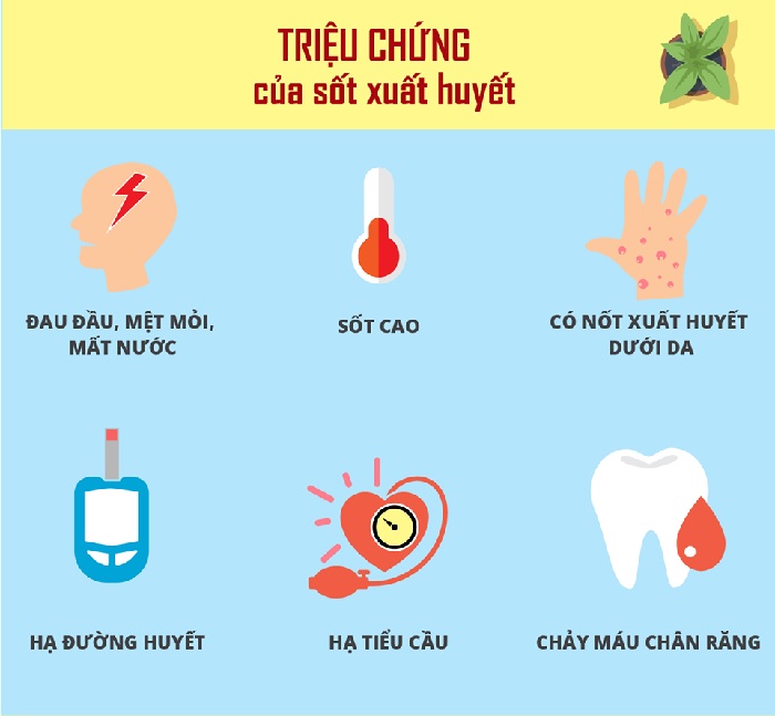 Bệnh sốt xuất huyết có lây không? Có nguy hiểm không?