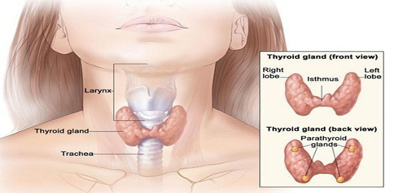 Bệnh tuyến giáp rối loạn về cấu trúc hoặc chức năng