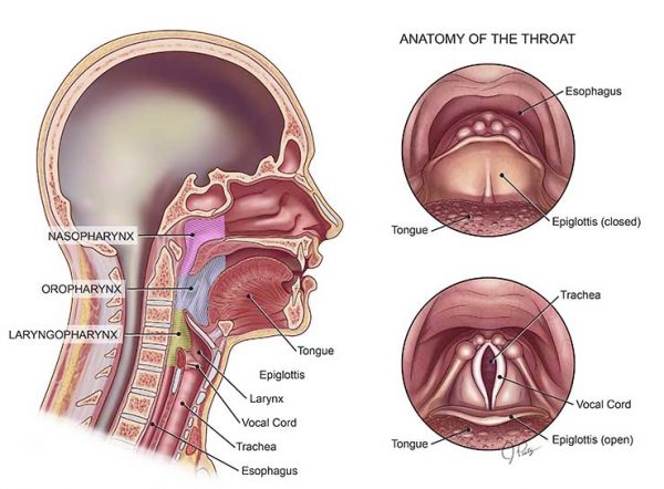 Bệnh ung thư vòm họng có di truyền không?