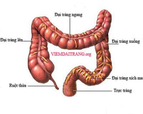 Bệnh viêm đại tràng chữa như thế nào?