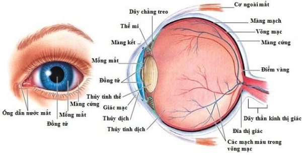 Bệnh viêm dây thần kinh mắt có nguy hiểm không?