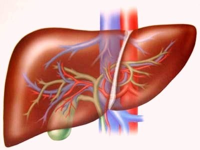 Bệnh viêm gan virus B nếu không được phát hiện và điều trị