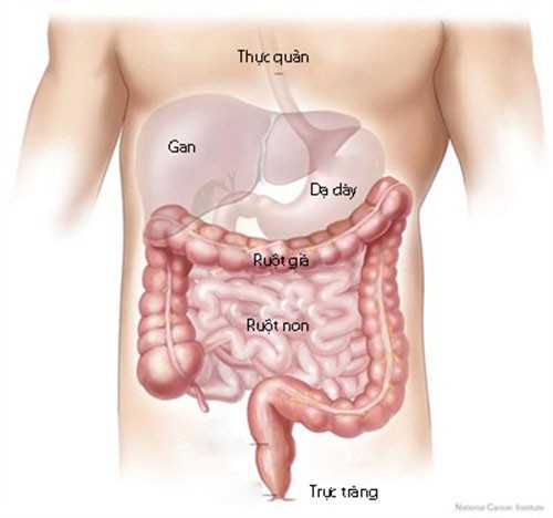 Bị tắc ruột phải làm sao? triệu chứng thế nào