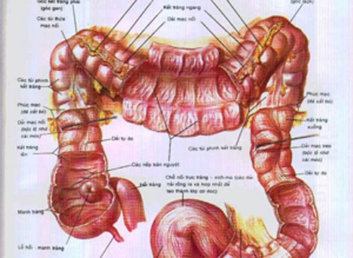 Biểu hiện viêm đại tràng