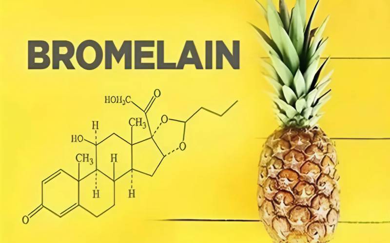 Bromelain – Thông tin thuốc và những lưu ý khi sử dụng