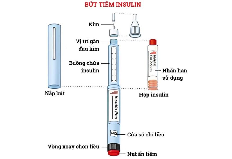 Bút tiêm insulin và những thông tin cần thiết