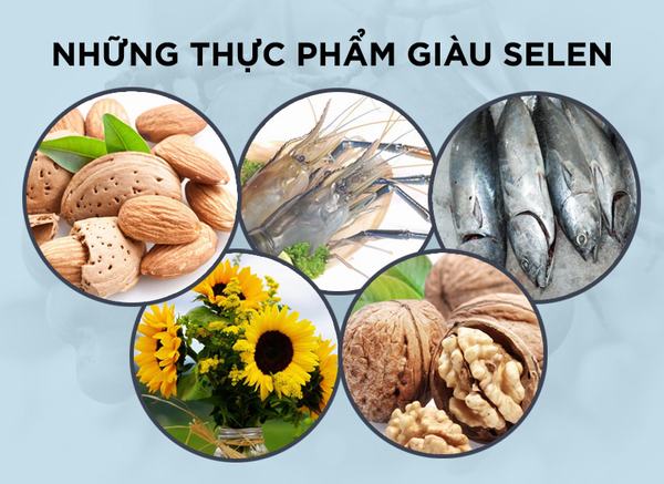 Các chất có khả năng ngăn ngừa ung thư