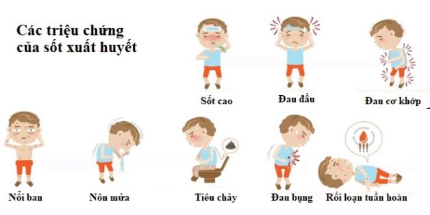 Các giai đoạn sốt xuất huyết cần biết