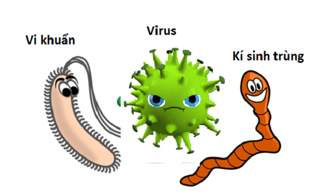 Các hiện tượng bị đại tràng cần biết