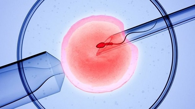 Các mốc khám thai IVF mà mẹ cần lưu ý