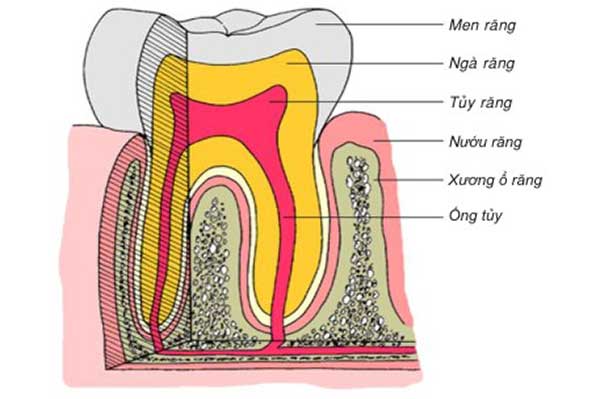 Các phương pháp điều trị nhạy cảm ngà răng