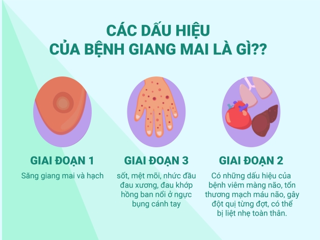 Các triệu chứng bệnh giang mai theo giai đoạn như thế nào?