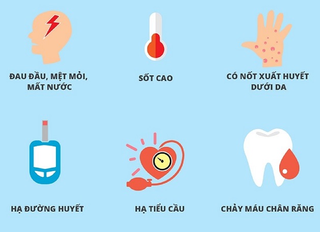 Các triệu chứng sốt xuất huyết, cách chăm sóc và phòng tránh