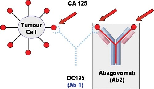 Các xét nghiệm chất chỉ điểm ung thư