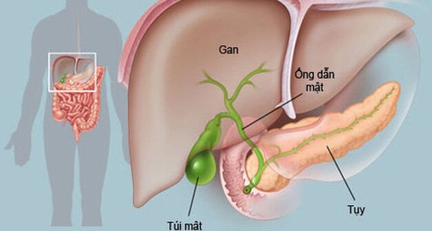 Các xét nghiệm về gan mật hay dùng trong chẩn đoán