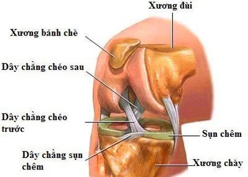 Cách chữa đau dây chằng đầu gối