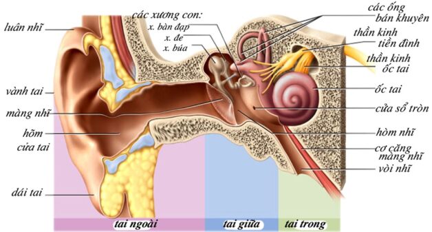 Cách chữa viêm tai giữa ở trẻ em chuẩn xác