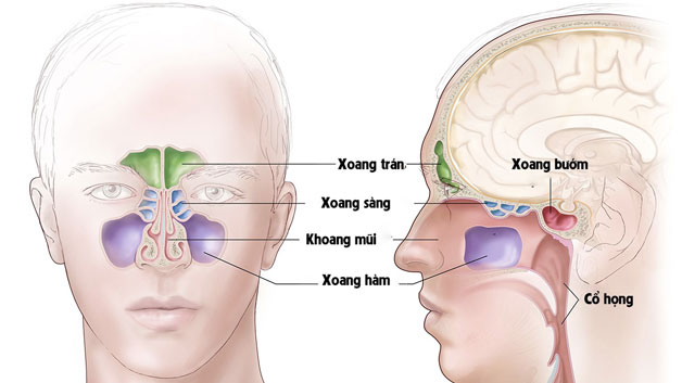 Cách điều trị viêm xoang: điều trị đúng bệnh, đúng người