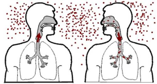 Cách phòng bệnh lao mọi đối tượng, lứa tuổi