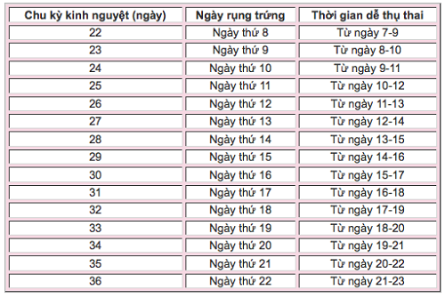 Cách tính chu kỳ rụng trứng của phụ nữ