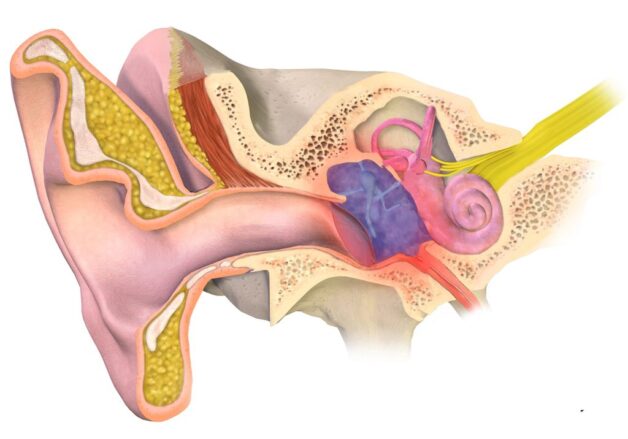 Cách trị viêm tai giữa đúng đắn bố mẹ phải biết