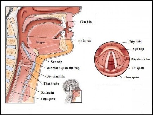 Cẩn trọng với khàn tiếng kéo dài