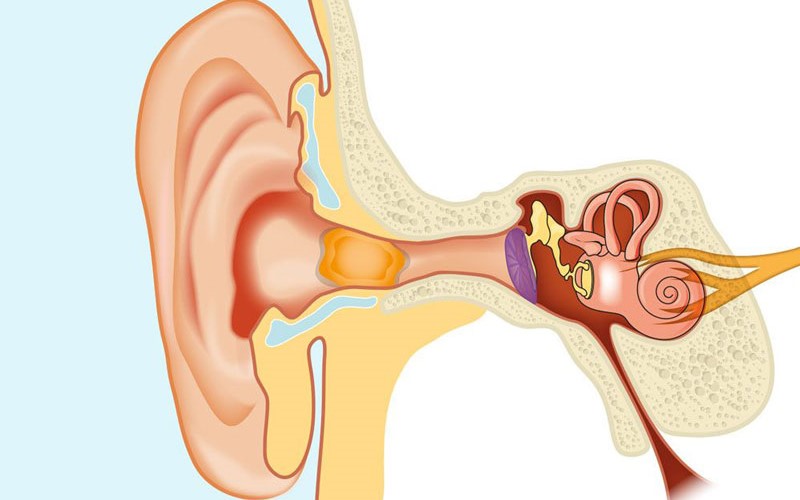 Cảnh báo dị vật tai mũi họng và những hiểm họa