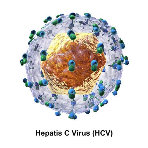 Cảnh báo ngưỡng phát hiện virus viêm gan C cho bạn