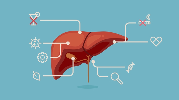 Cảnh báo nguyên nhân tăng men gan bị nhiều người bỏ qua